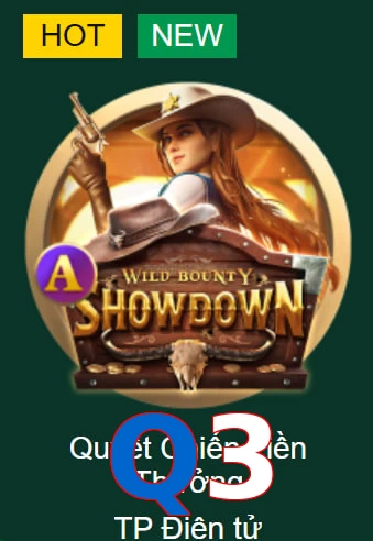 Q3