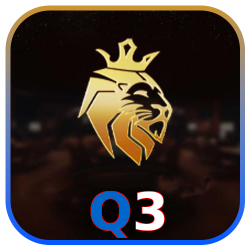 Q3